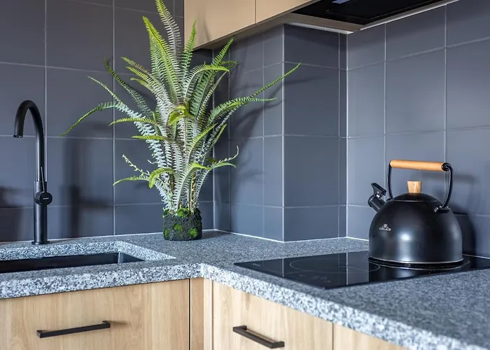 Hofmana F1 Invest * Szklarska Poręba