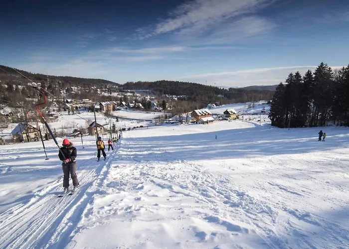 Hofmana F1 Invest Apartament